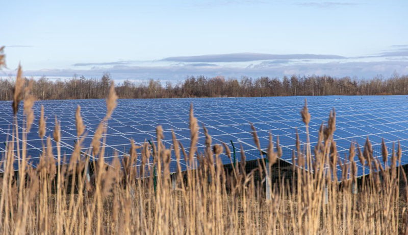 energia-solar-agronegocio